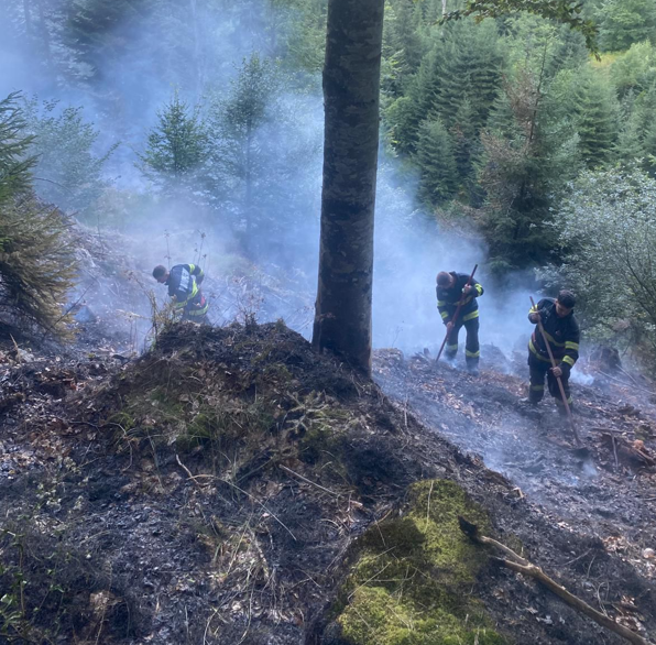 incendiu padure - sibiu - zona santa - accident atv- munitii cindrel - isu sibiu 