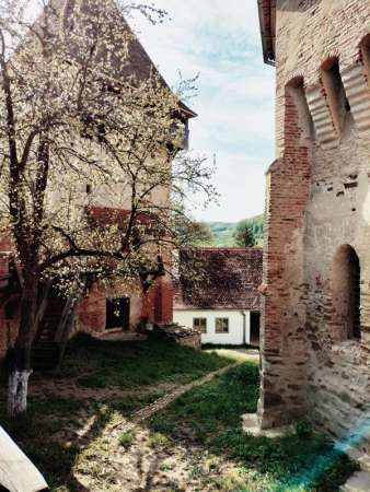 alma vii-sibiu - 1 mai - deschis