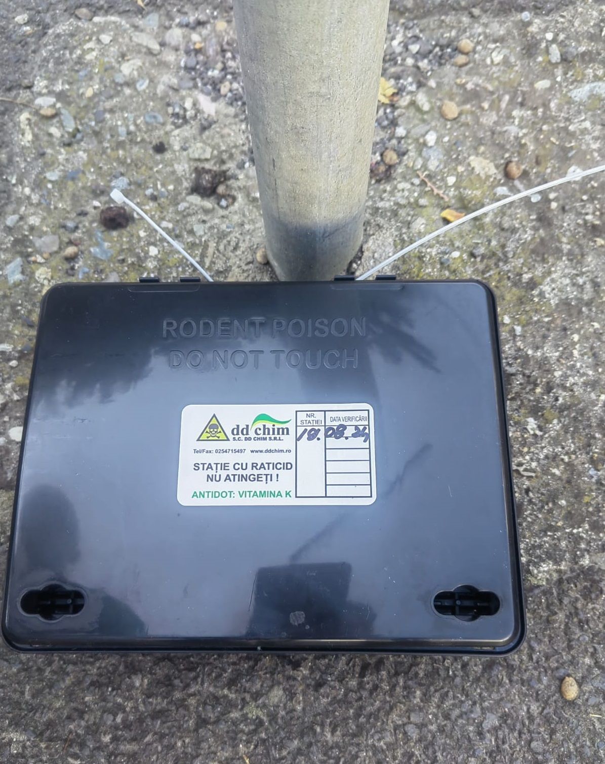 deratizare - sibiu - substanțe toxice- parcuri -  Sibiu - sobolani