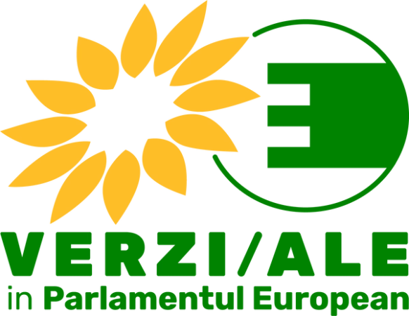 green - sibiu - nicu stefanuta - burse