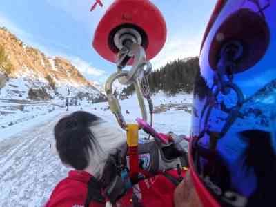 Munții Făgăraș - câini de salvare - avalanșe - Valea Capra