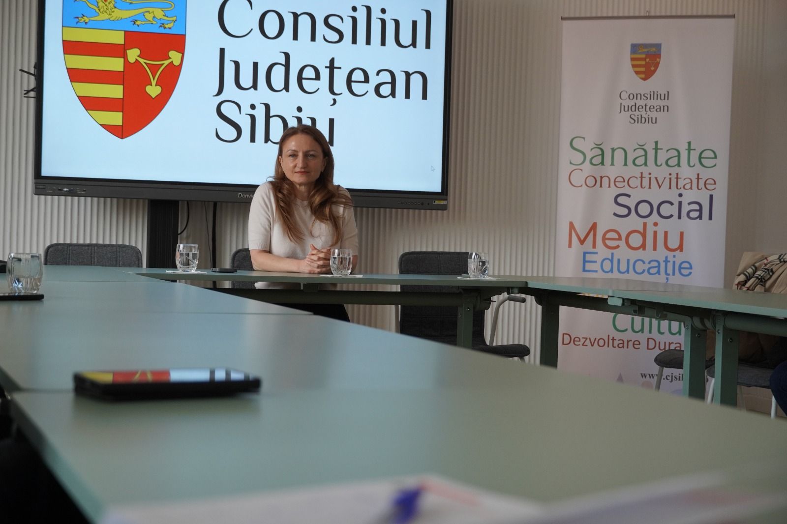  Daniela Cîmpean - Sibiu - Monent T zero - parlamentari - dezbatere - proiect - Noul Spital al Sibiului