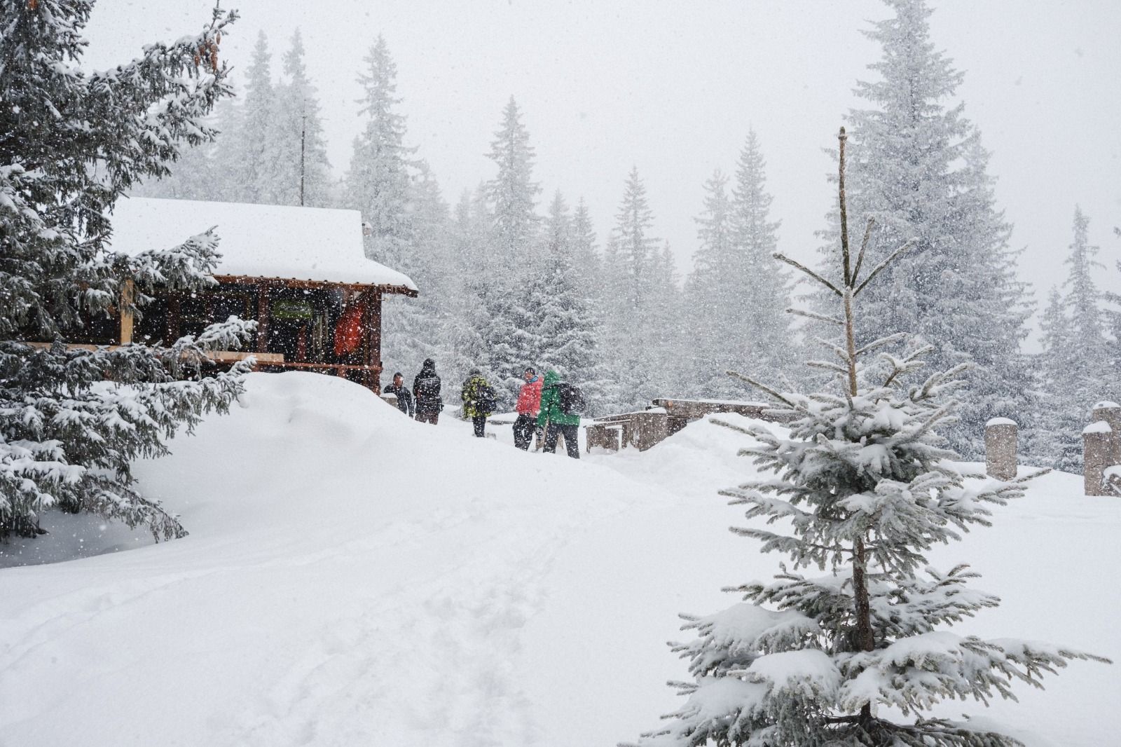 sibiu  dragobete- cabana barcaciu - casatorie de o zi - muntii fagaras