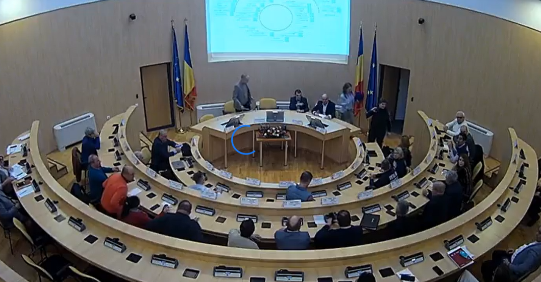 daniela cimpean- sibiu - cj - sala parasita- - daniela cimpean - protest 