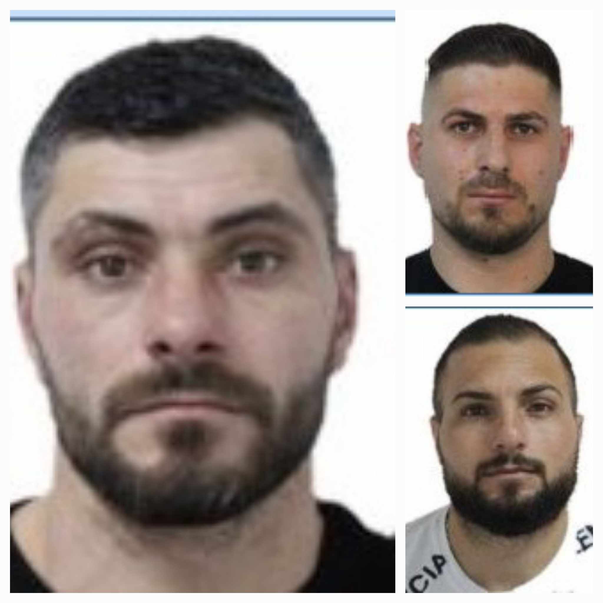 urmarire generala - sibiu - adrian creiner- suspecți