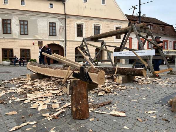 mestesug - sibiu - mesteri- casa artelor