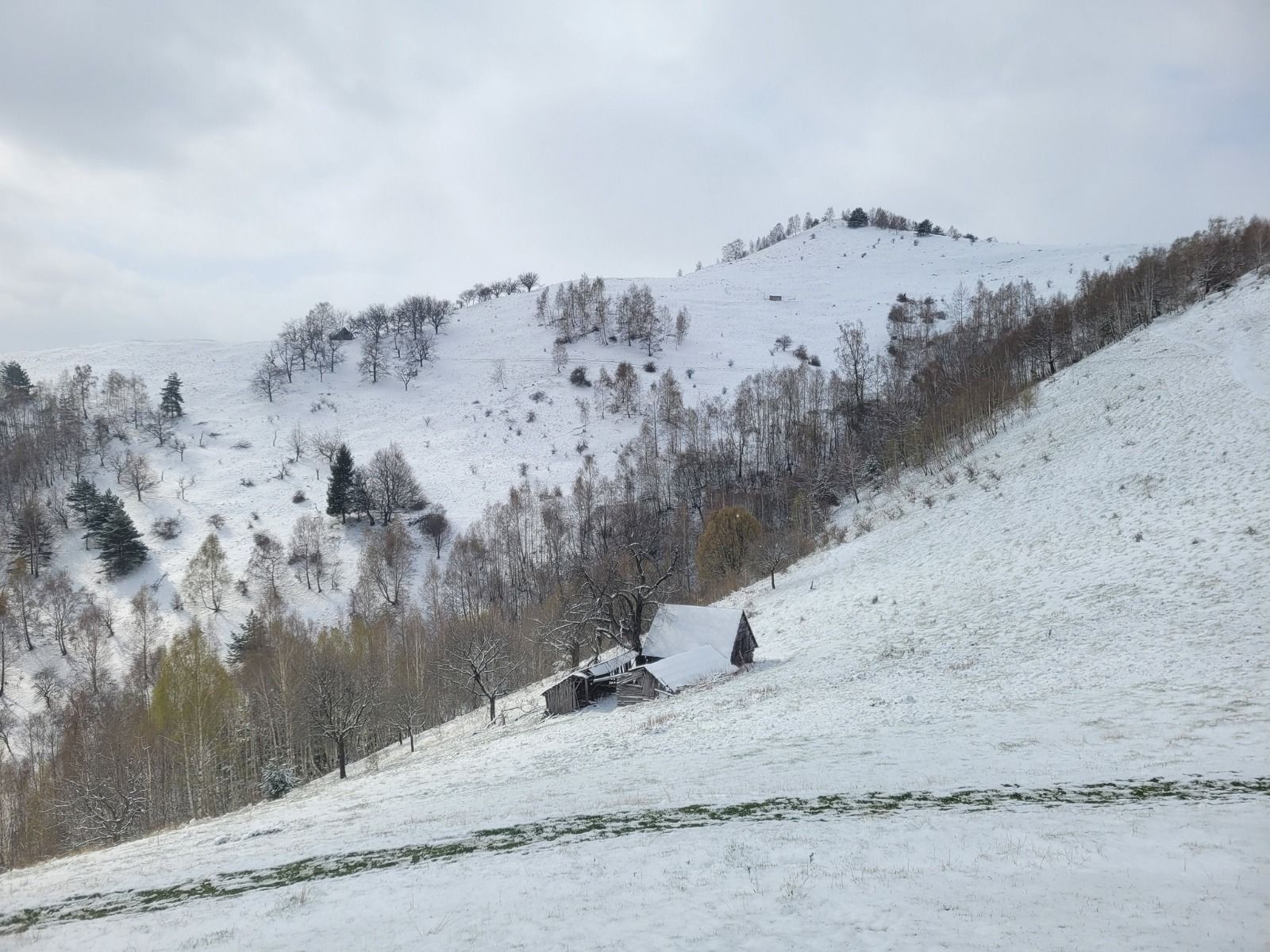 Drumeție -  păstori - Rașinari - popas la colibă - Varful Fraga 