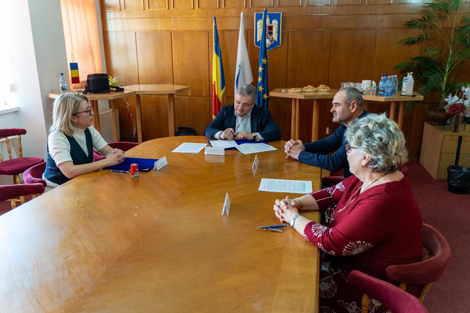 medias- consultanta - ocolitoare medias - 36 luni - ghe. roman