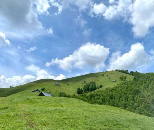 Tara colibelor -Sibiu - Rau Sadului