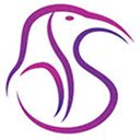 IBIS Management