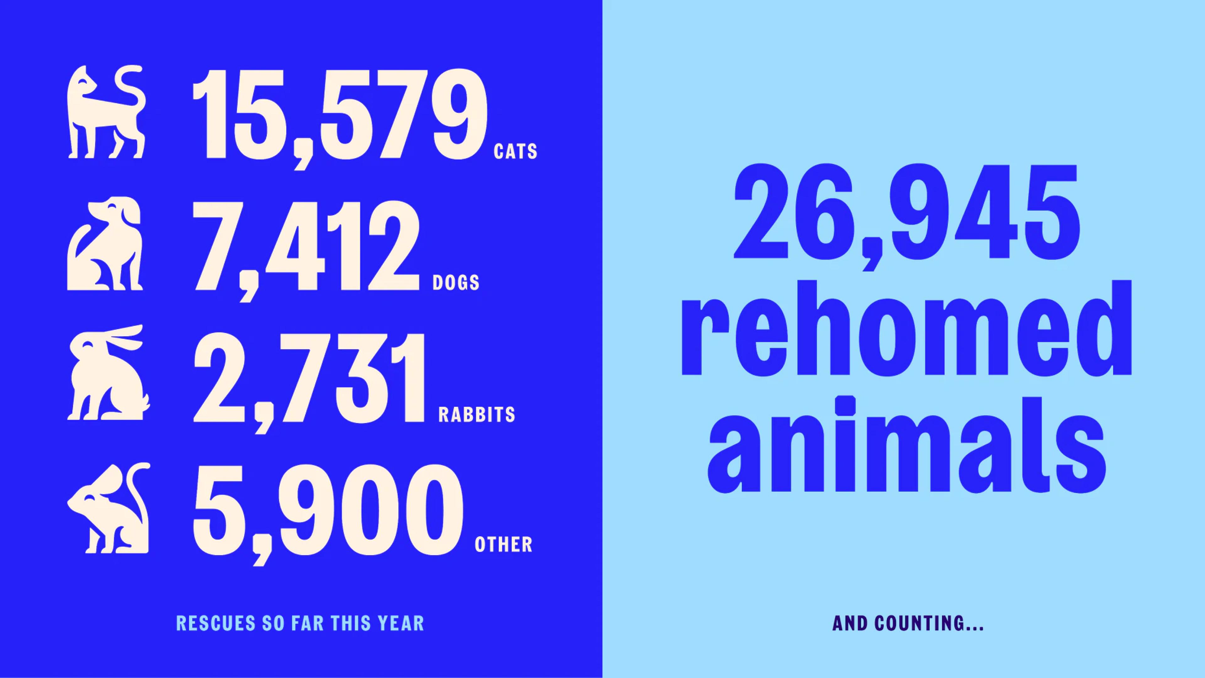RSPCA - asset-11