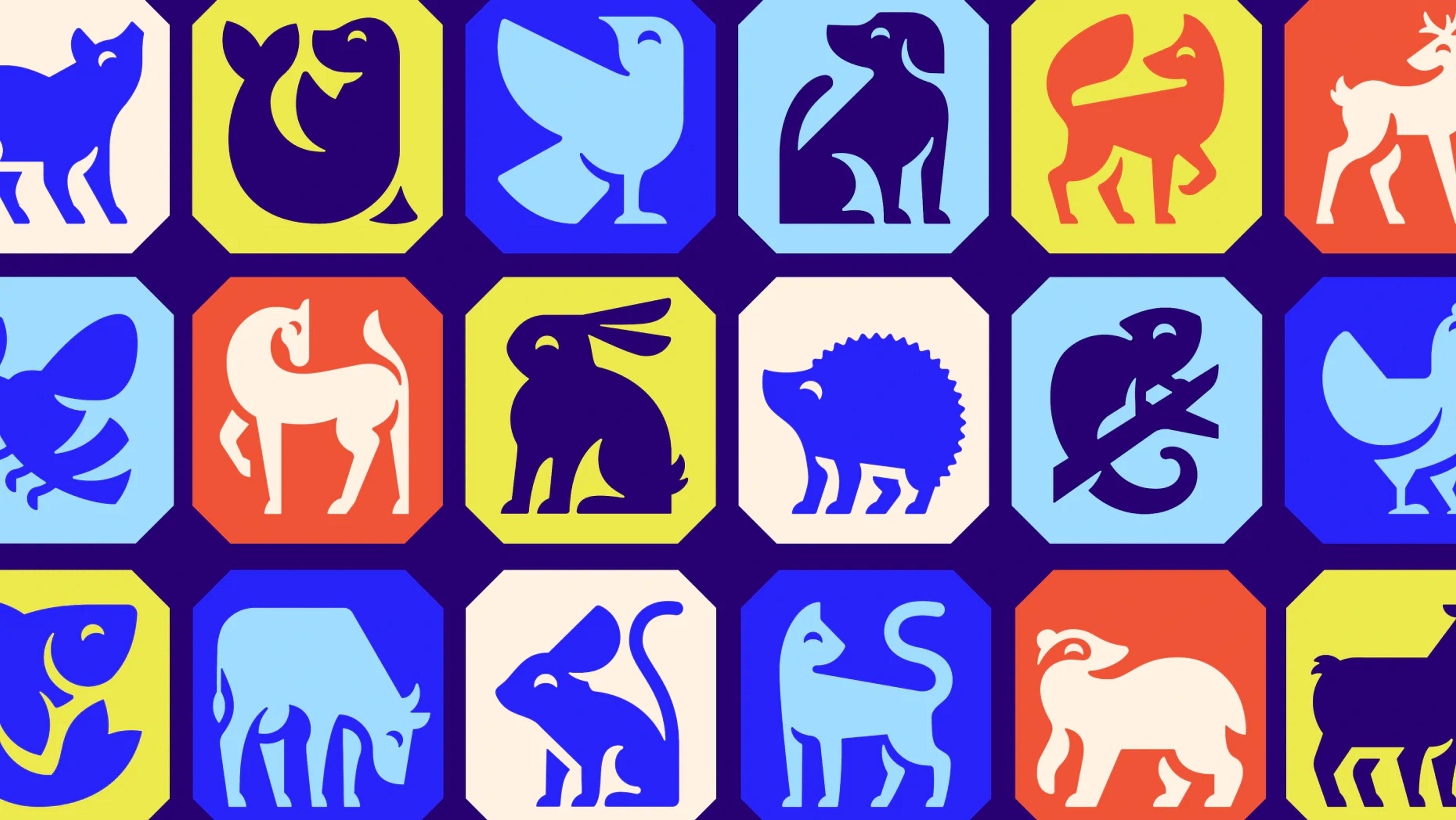 RSPCA - asset-5
