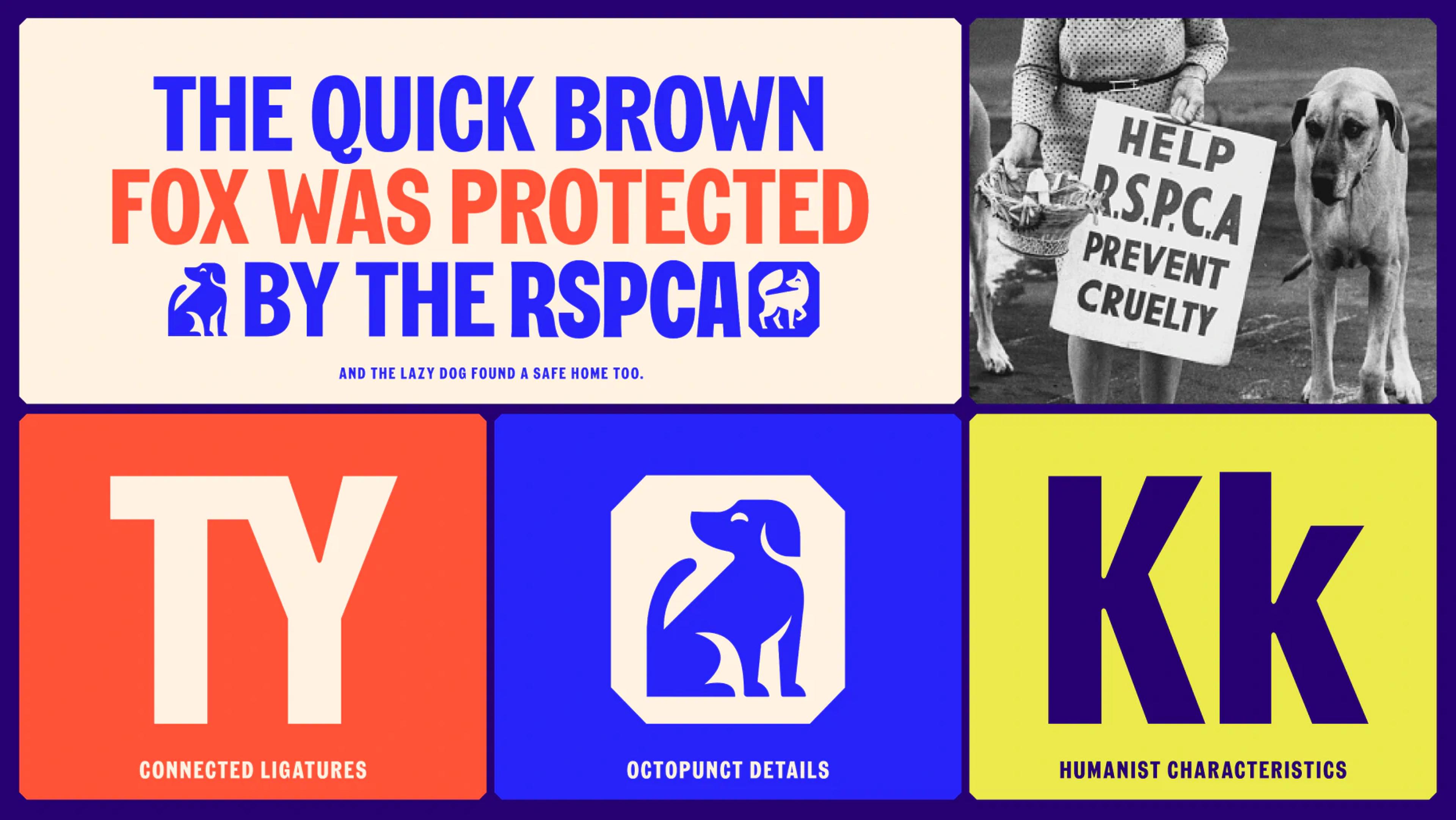 RSPCA - asset-7