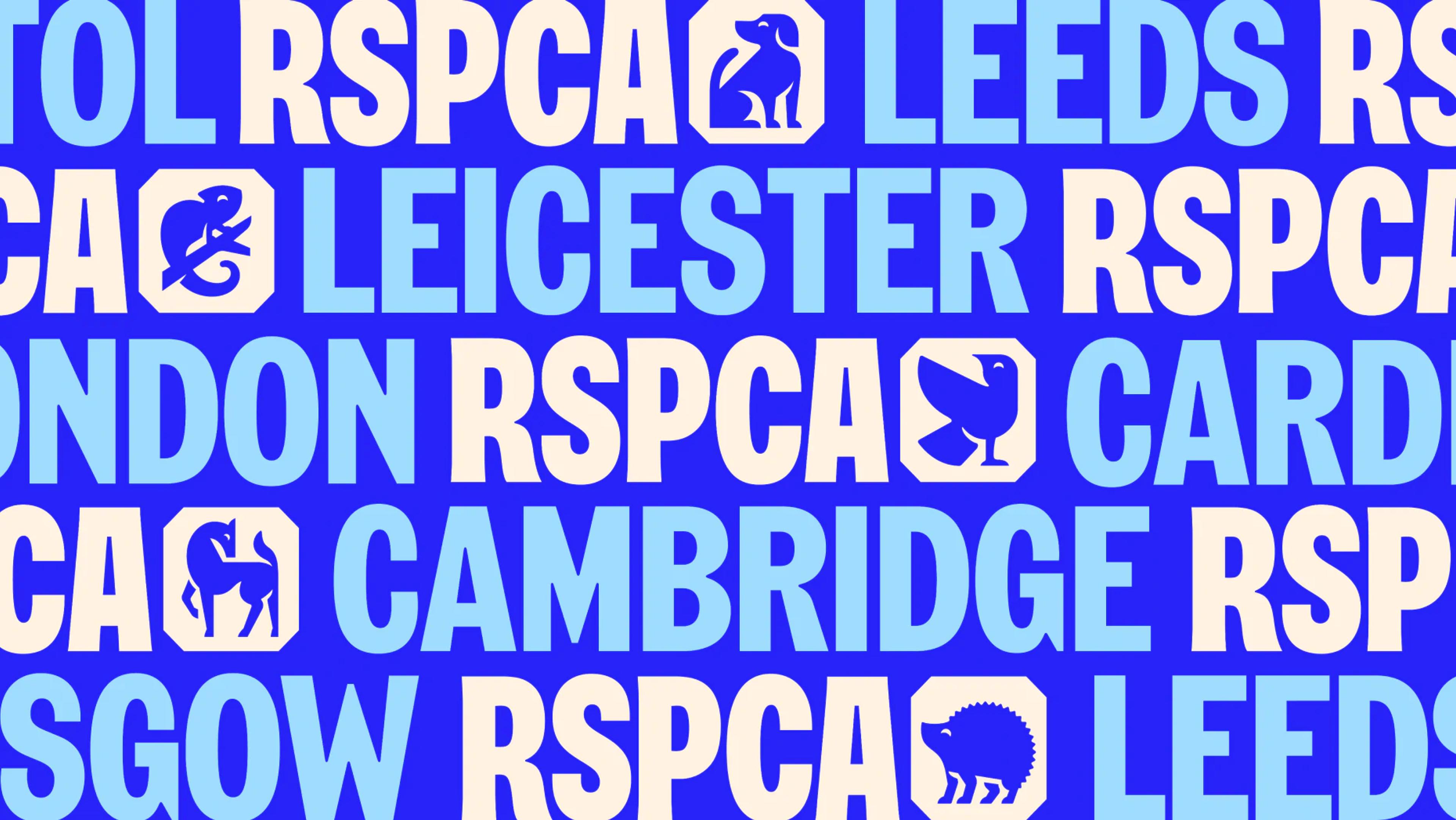 RSPCA - asset-2