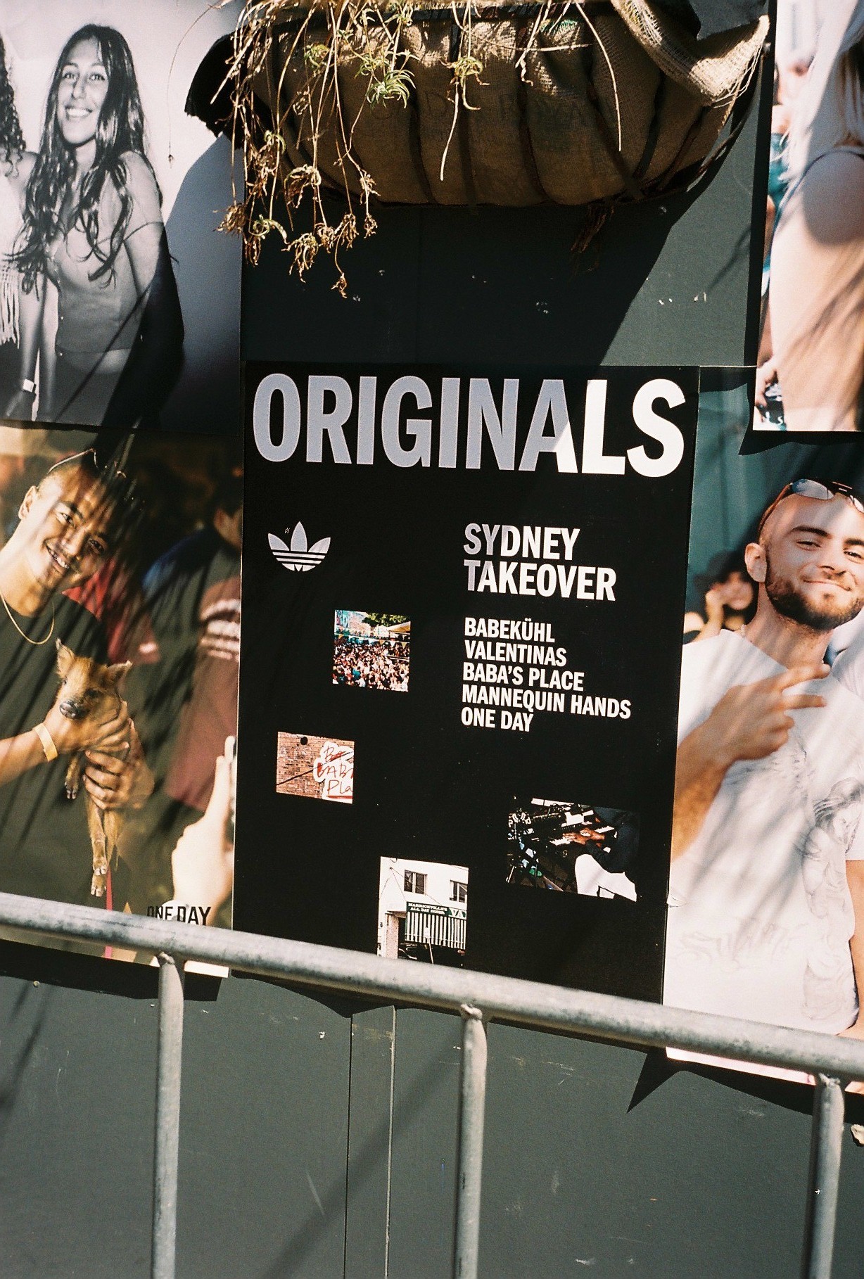 A large black sign advertising "Adidas Originals Sydney Takeover" featuring event details and small photos, surrounded by lifestyle posters of smiling people, topped by a hanging planter, and partially obscured by a metal railing.