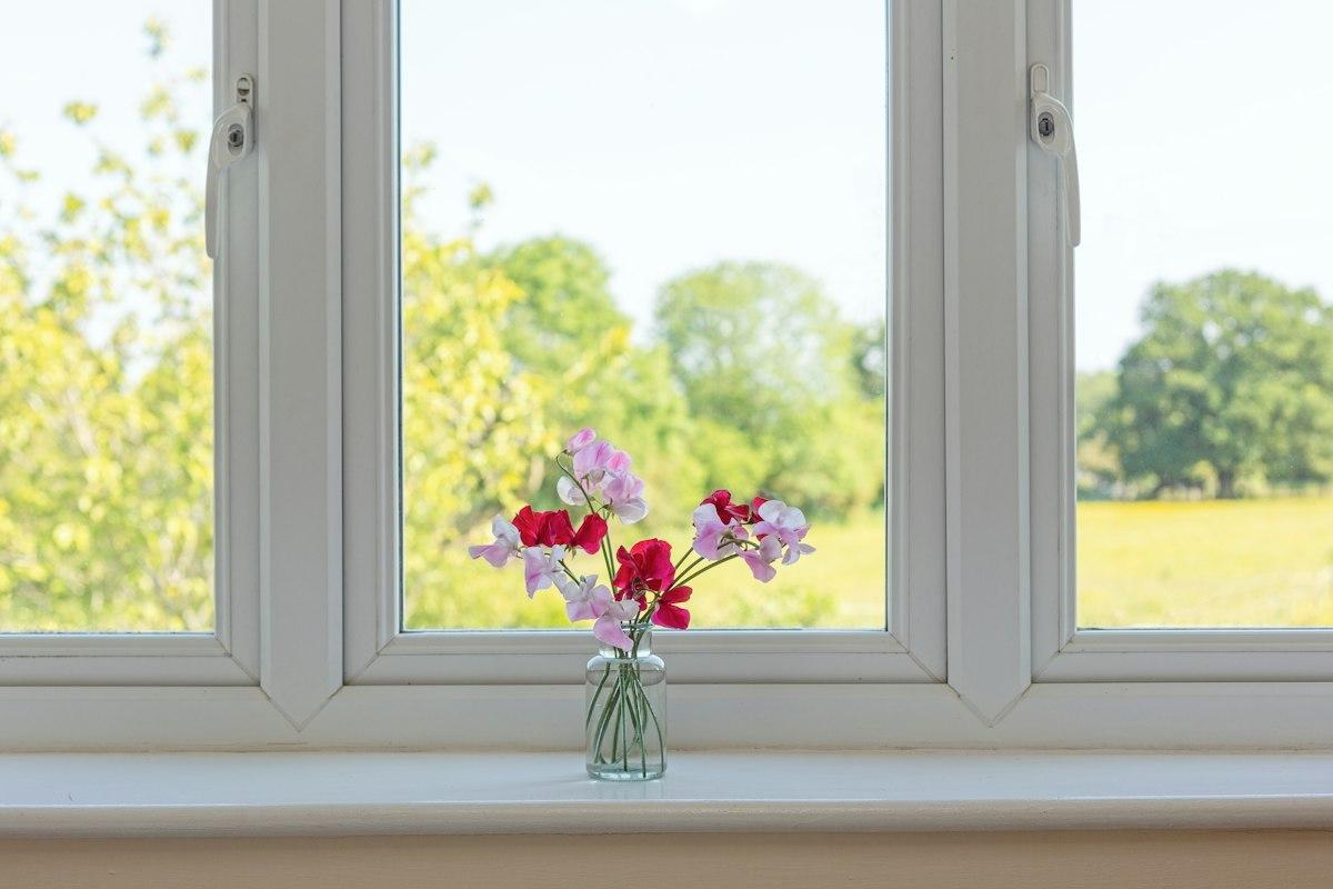 A white uPVC casement window seen from inside, with a small vase of sweet peas on the white window board and fields and trees beyond.