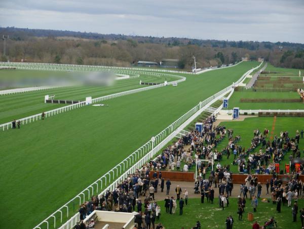Racegoers gathered beside the white rails and green turf of Ascot Racecourse on an overcast day.