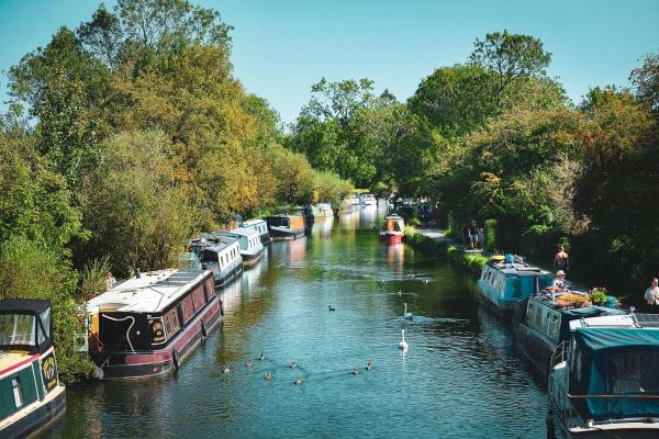 Narrowboats moored along the Kennet and Avon Canal in Newbury on a sunny day, with swans and ducks on the water.