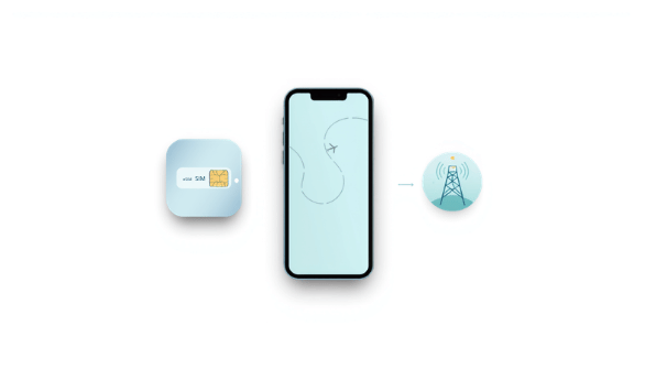 eSIM versus roaming Canva cover for eSIM Tayyor article: Роуминг Beeline vs eSIM для туристов из Узбекистана.