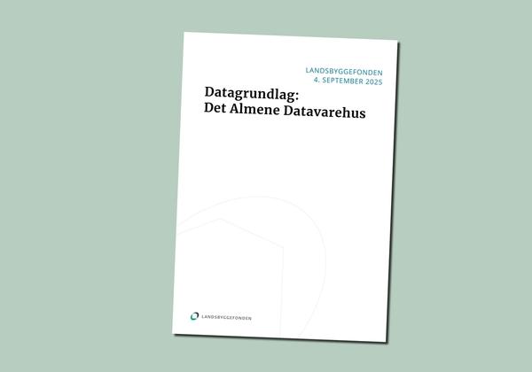 Forside på publikation om datagrundlag i Det Almene Datavarehus