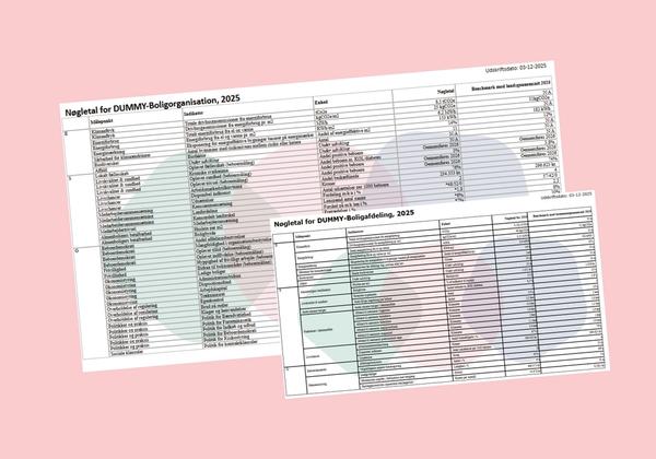 Skærmbillede af skemaer fra egne data-modul (prototype)