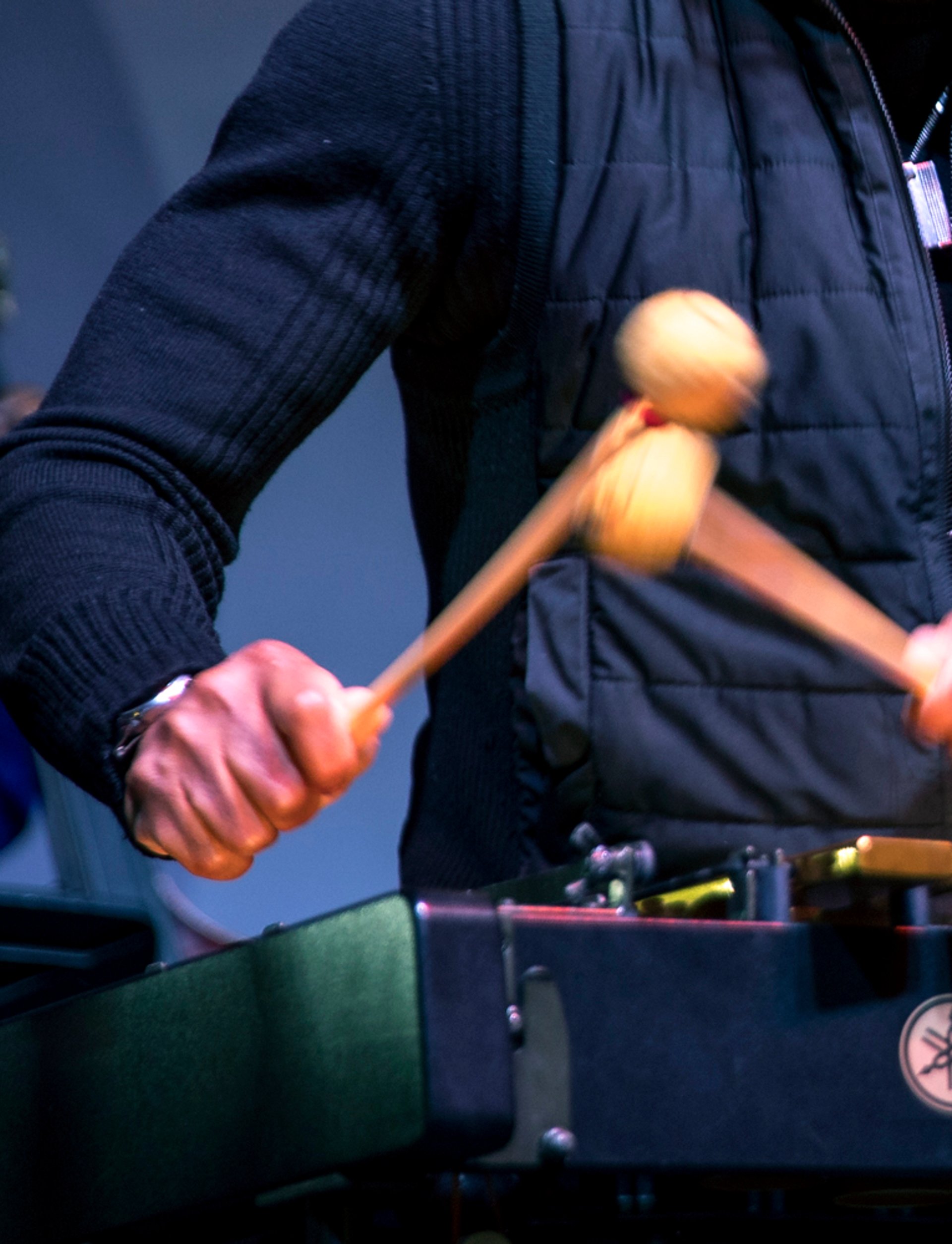 Stefon Harris playing the vibrophone