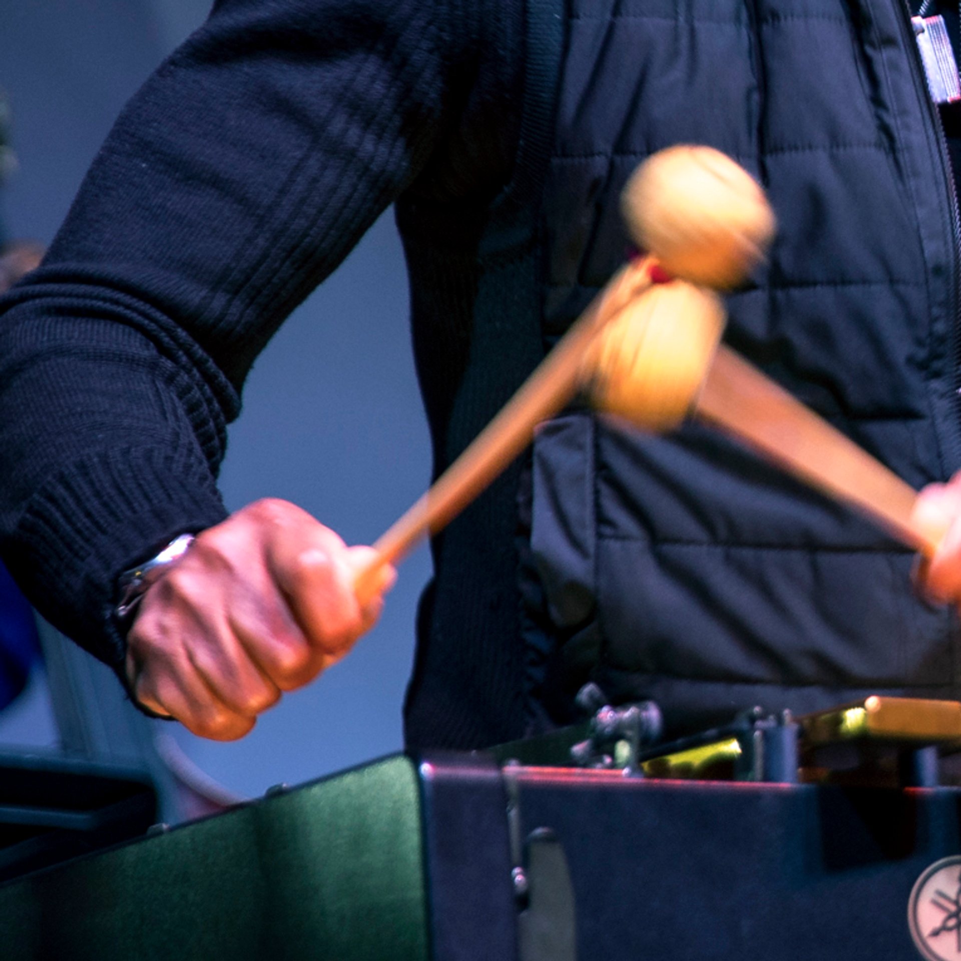 Stefon Harris playing the vibrophone