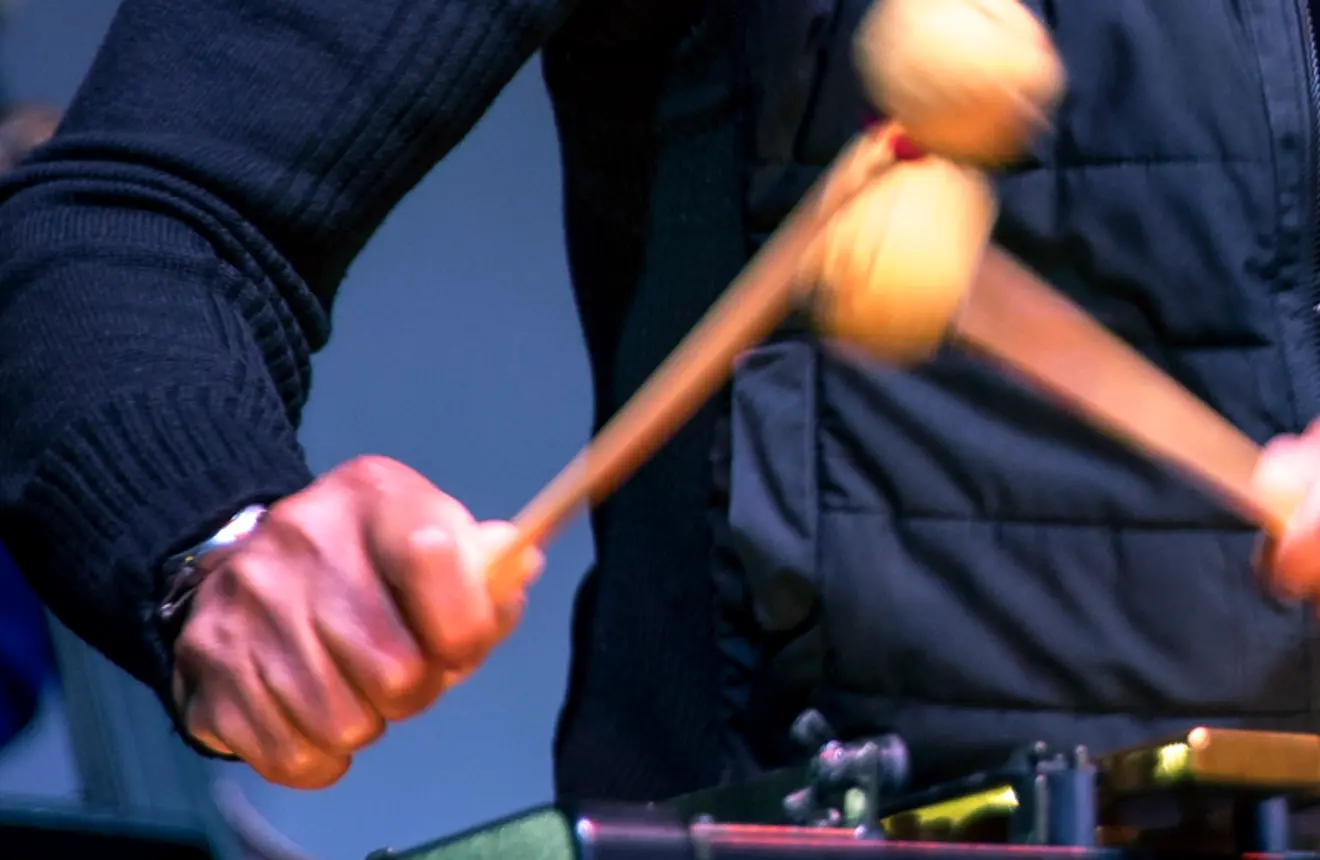 Stefon Harris playing the vibrophone