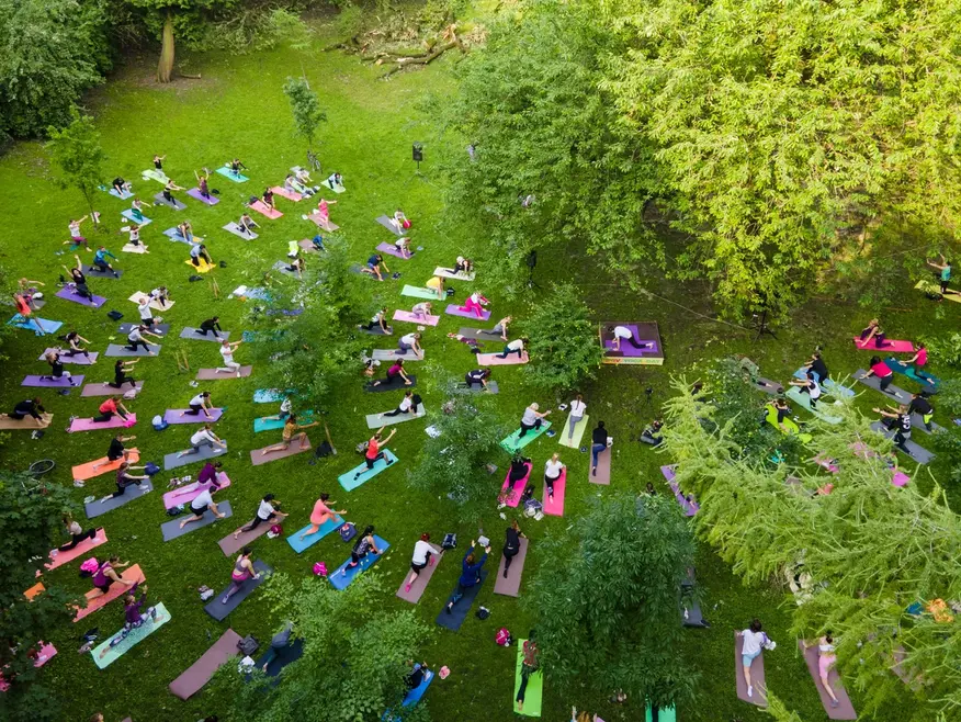 Aerial view of a large outdoor yoga class in a park, with participants on colorful mats spread across a grassy area surrounded by trees.