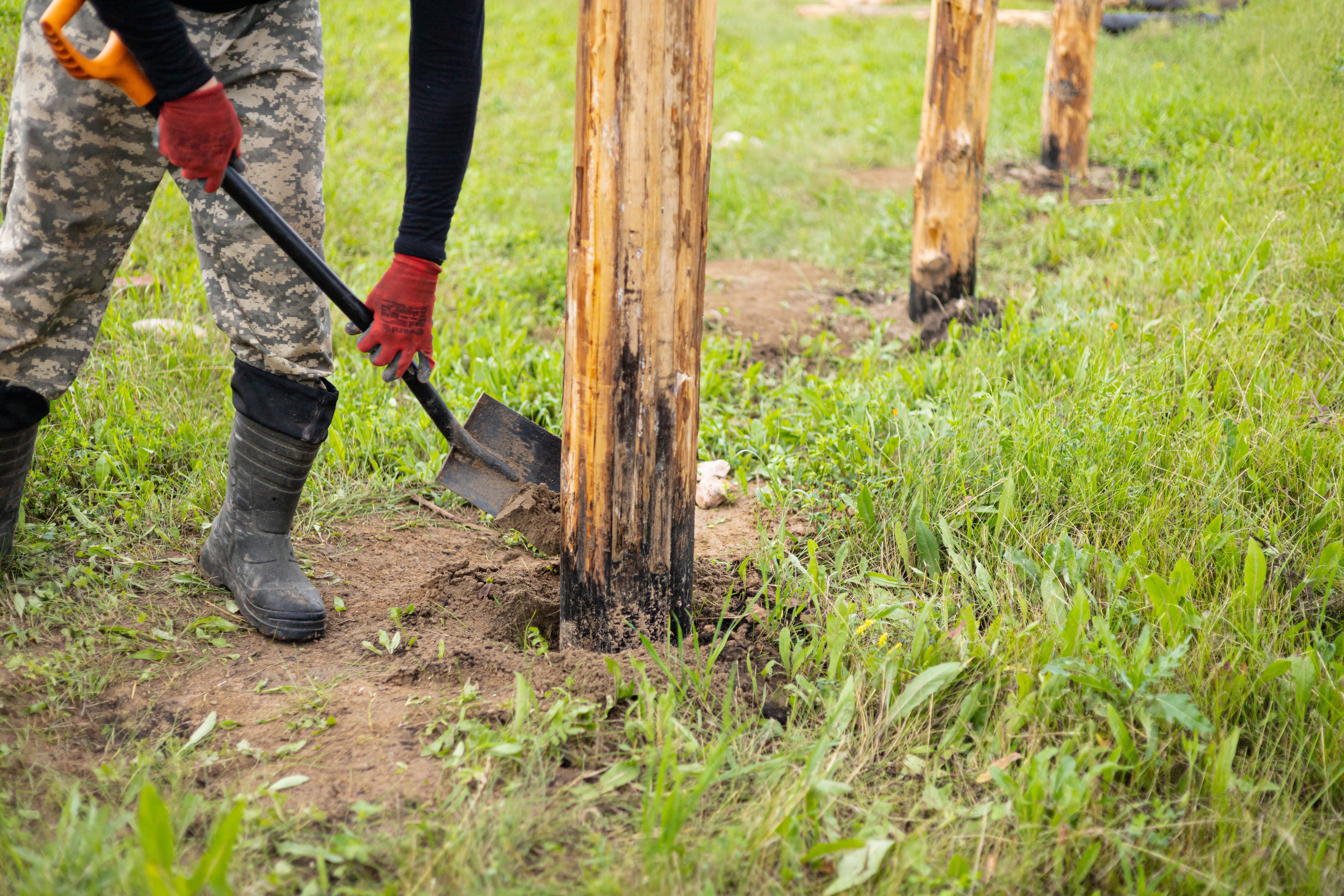 Person digging beside wooden posts in grass.