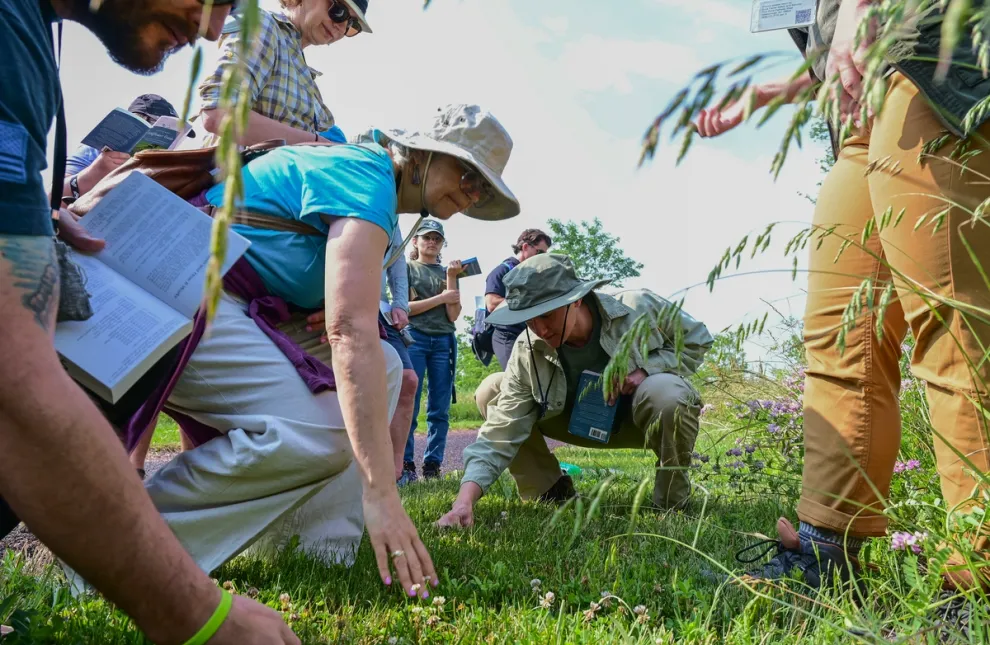 Harnessing-Natural-Climate-Solutions.jpg