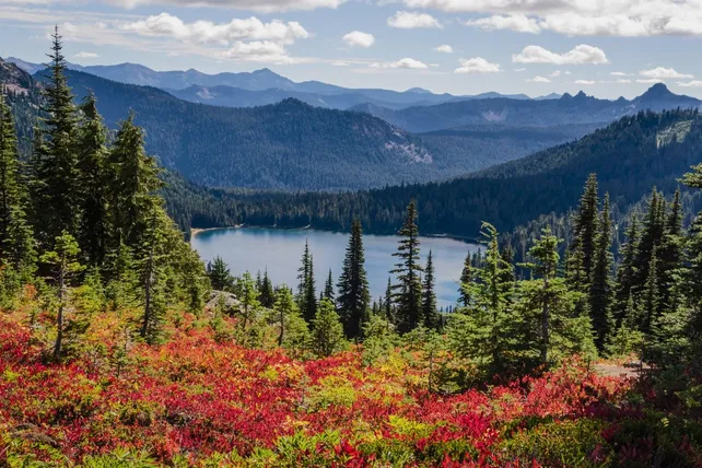 American-forest-congress.jpg