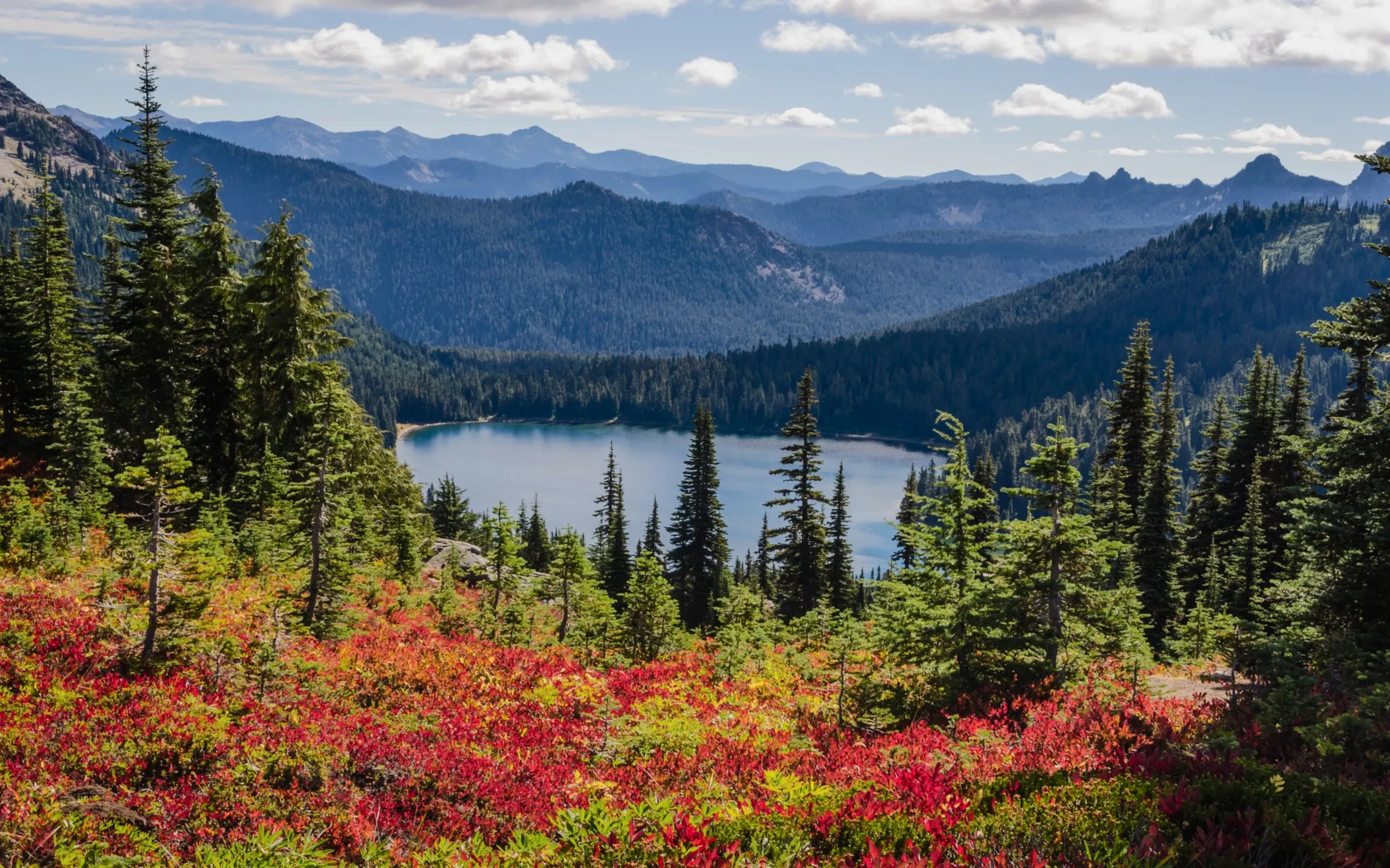 American-forest-congress.jpg