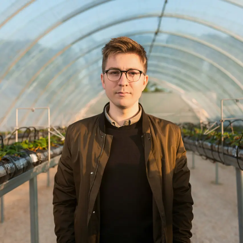 Person standing in a greenhouse with rows of plants.