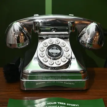 Phone Tree Stories.jpg