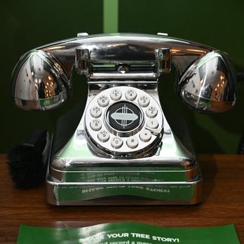 Phone Tree Stories.jpg