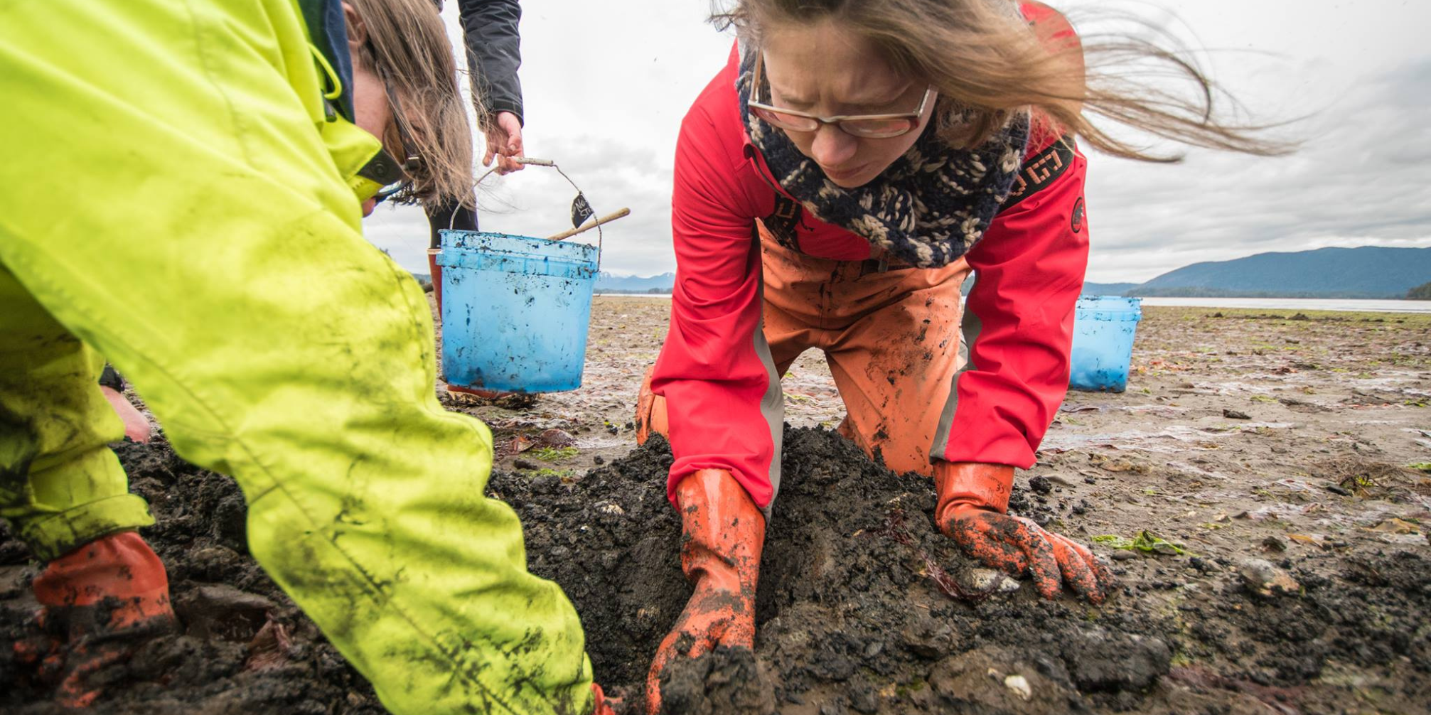 Harvard Ash Center.png