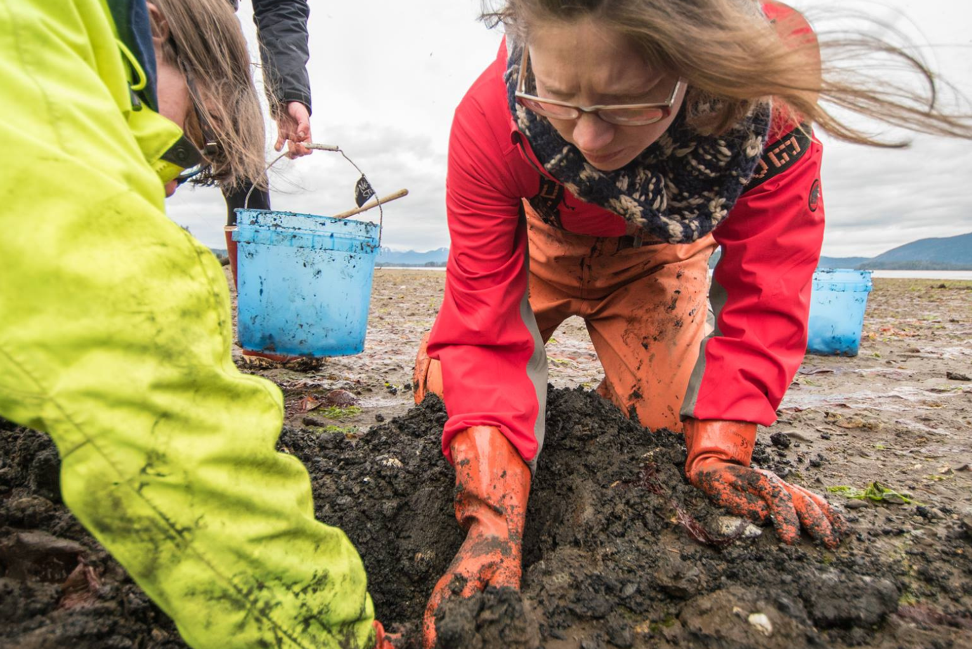 Harvard Ash Center.png