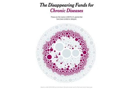 The Disappearing Funds for Chronic Diseases.png