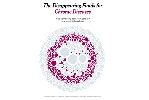The Disappearing Funds for Chronic Diseases.png