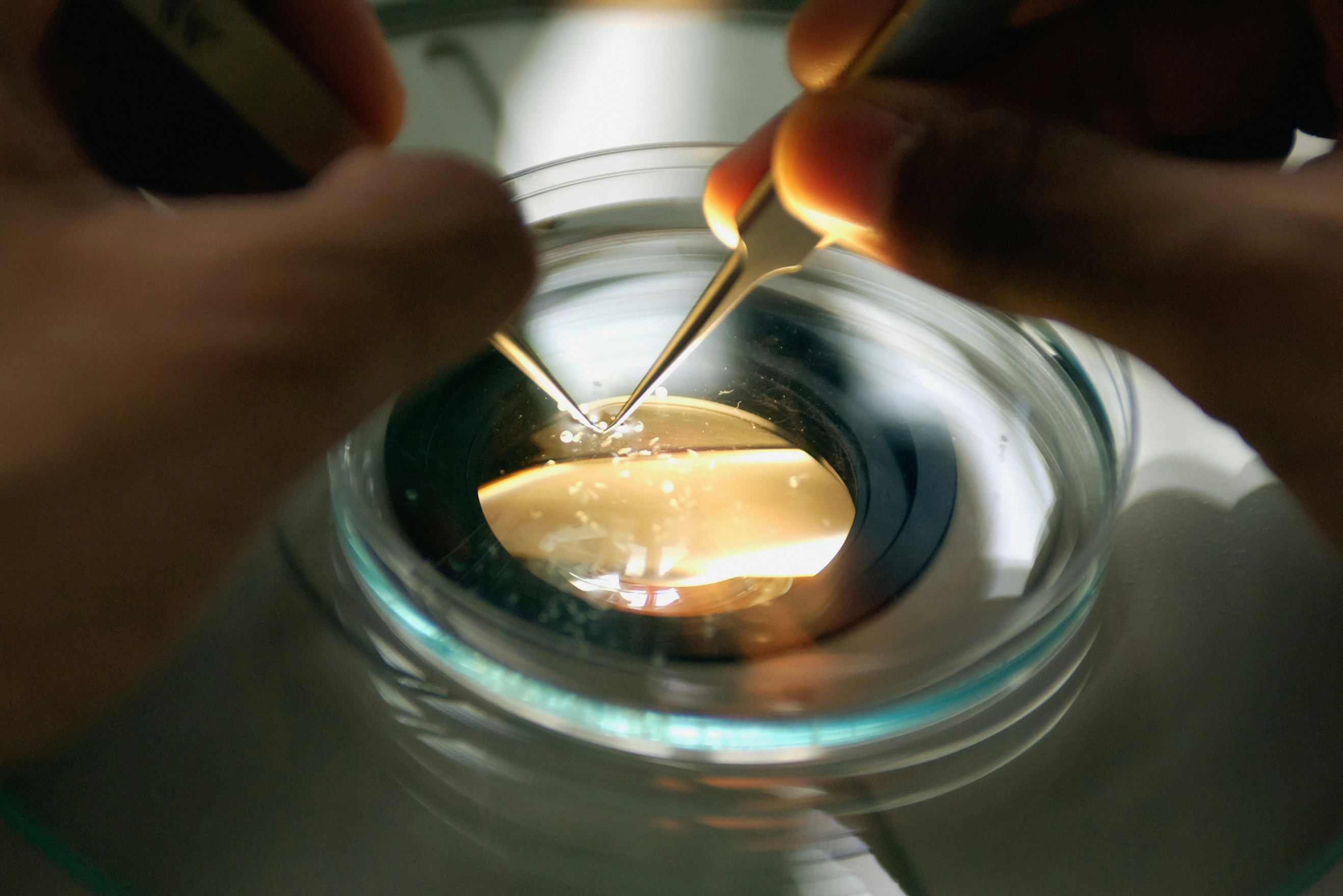 health and well-being program push.png