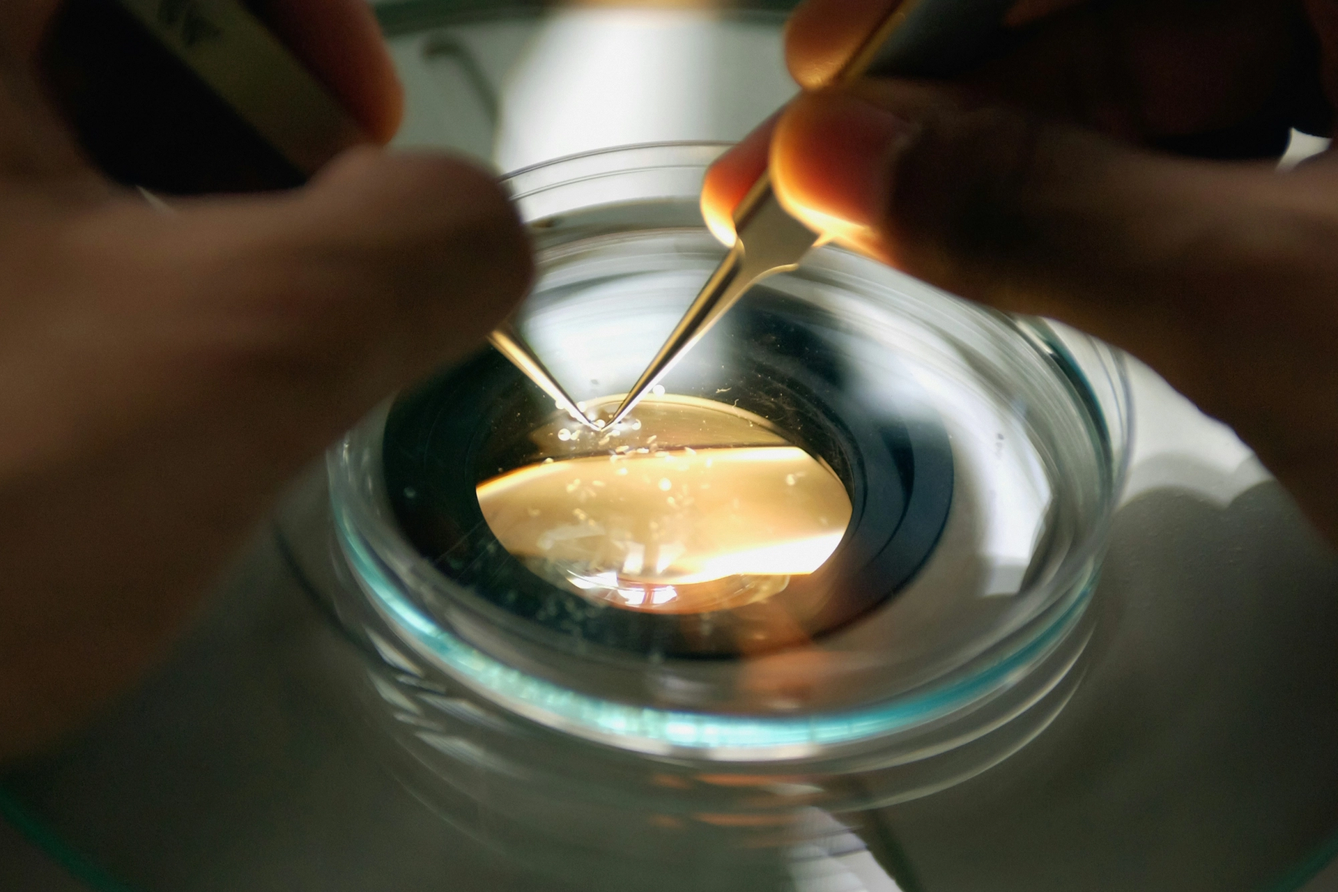 health and well-being program push.png