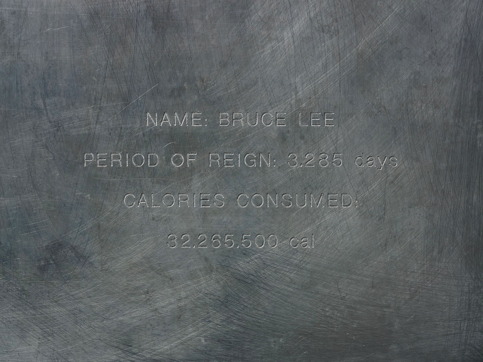 Michael Joo, Saltiness of Greatness (detail), 1992, compressed salt blocks, engraved aluminum trays, steel, wood, polyethylene, synthetic sweat, 156 × 96 × 48 in. Private Collection. Photo: Tim Lloyd