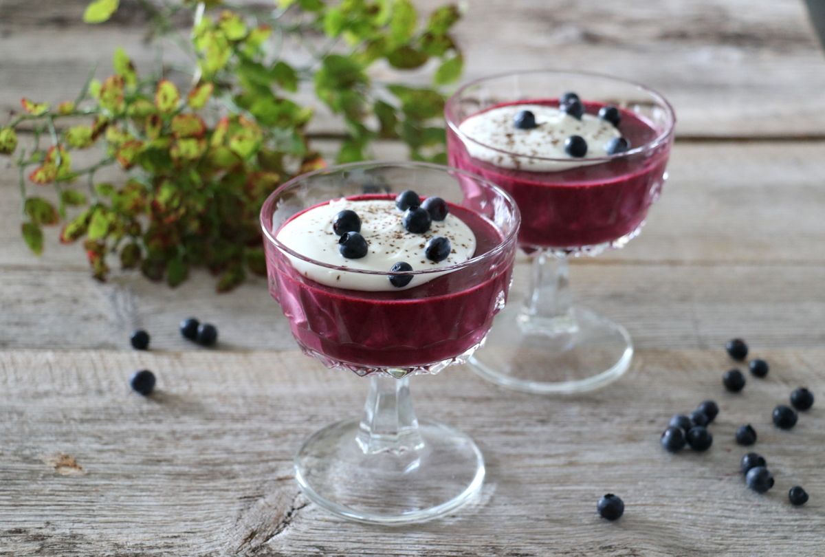 Sukkerfri blåbær panna cotta