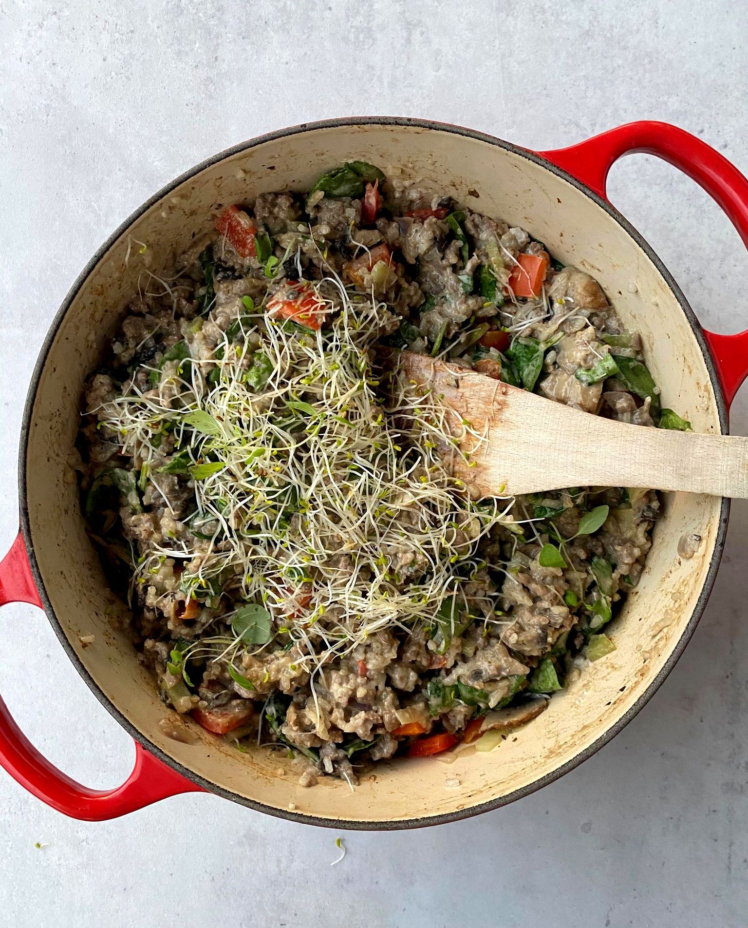 Alt-i-ett krema gryte med karbonadedeig og risrester