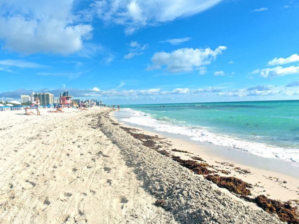 Miami- weekend, bildedryss