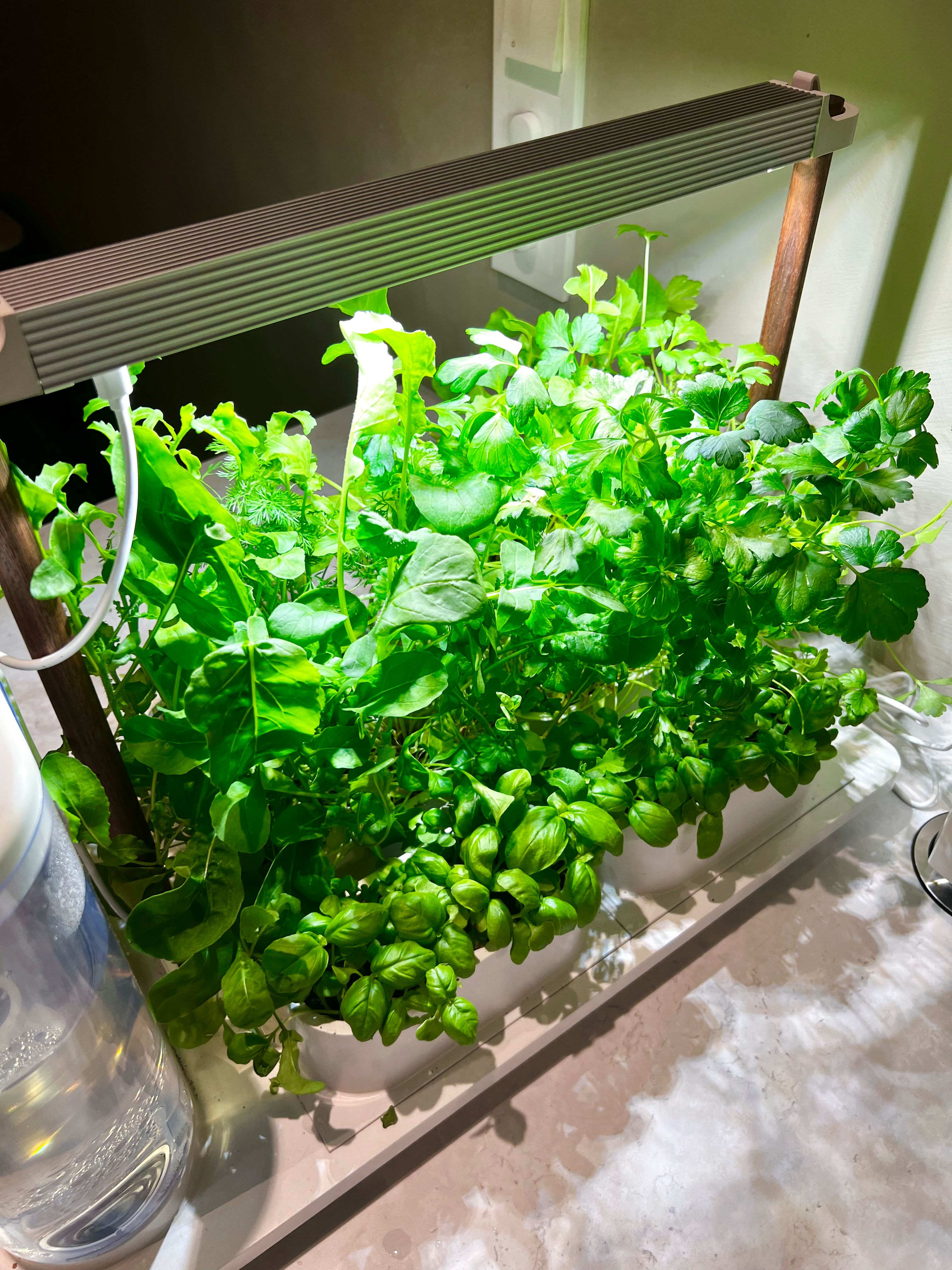 Auk gir meg friske urter til einkvar tid!