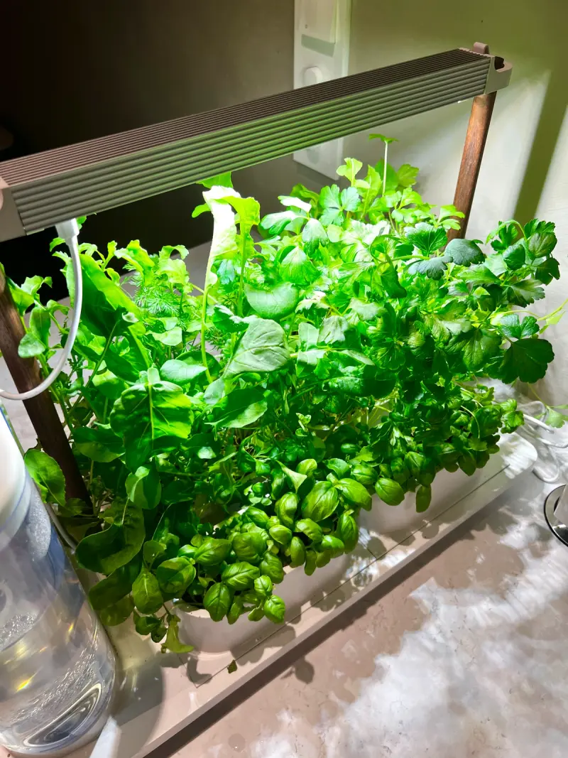 Auk gir meg friske urter til einkvar tid!