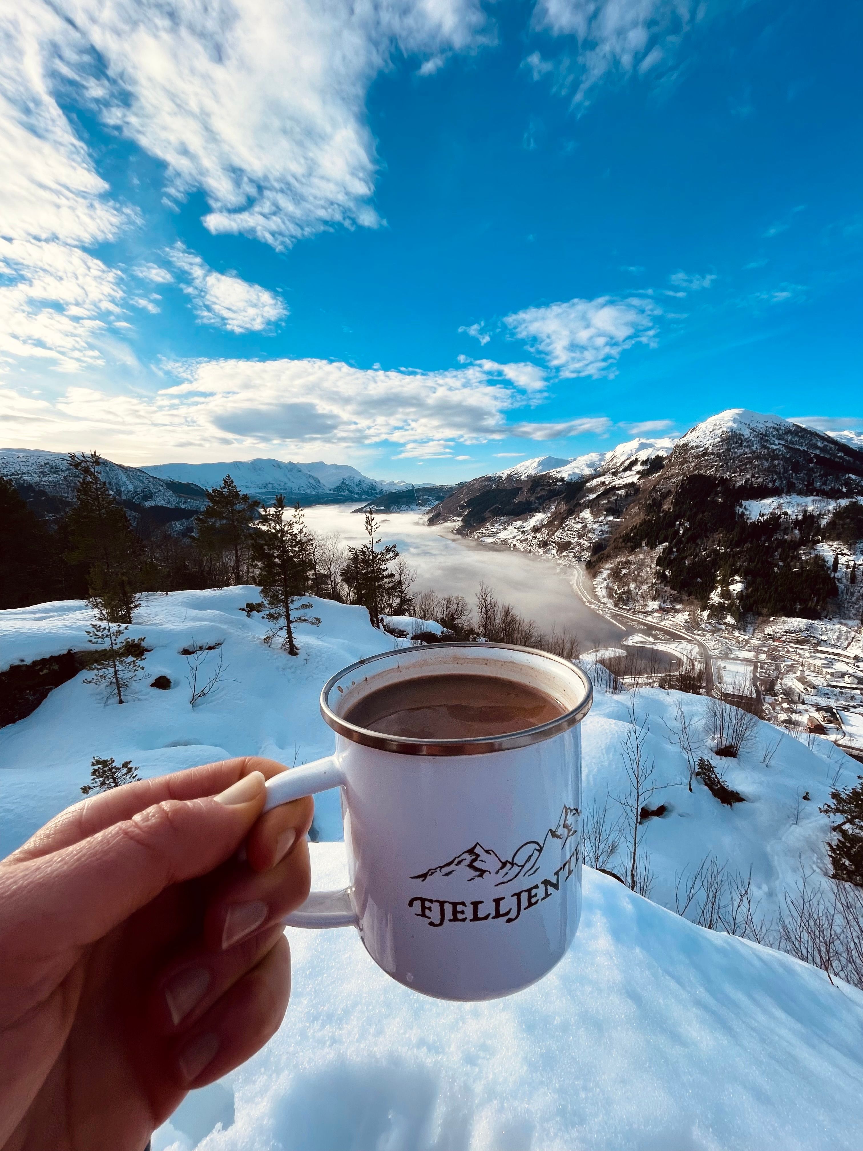 Sukkerfri, enkel kakao