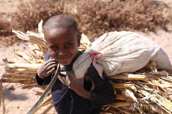 Gallery image Obiektyw